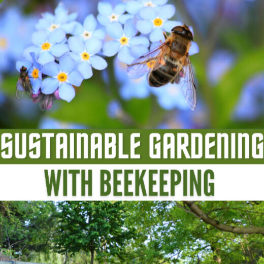 Growing Together. Feeding Our Future A honeybee pollinating flowers — the kind of pollinator habitat Harvest Hands Outreach is building toward as our garden grows